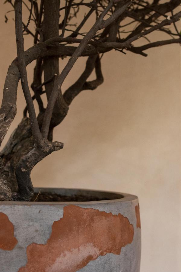 Taller De Juan - Casa Hotel San Cristóbal de Las Casas Exteriér fotografie